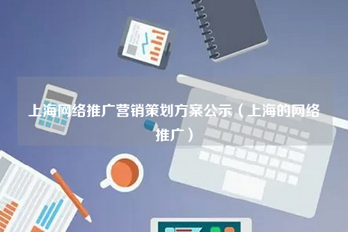 上海网络推广营销策划方案公示（上海的网络推广）